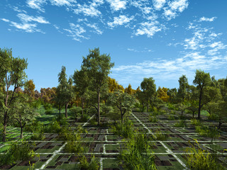 Fototapeta premium garden