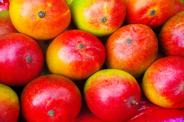mango fruits