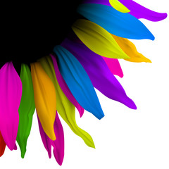 color flower abstract design