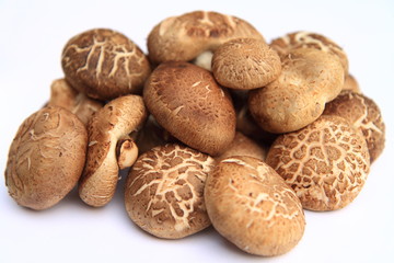 Mushrooms.