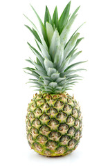 Fototapeta premium ananas