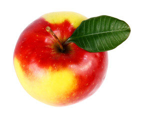 apple with a green leaf