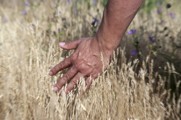Communion avec la nature