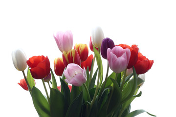 Tulpenstrauß3