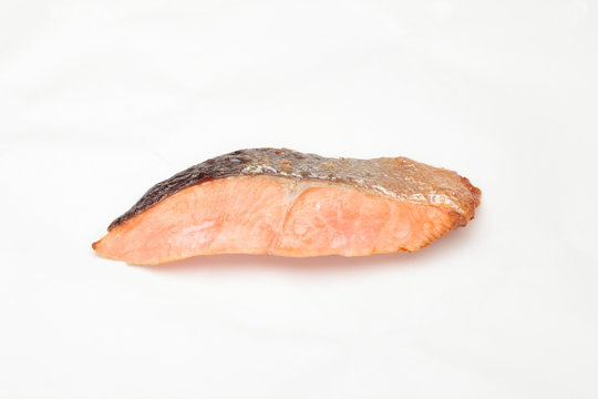 salmon