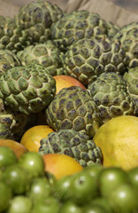 Salvador, quartiere del Carmo, frutta