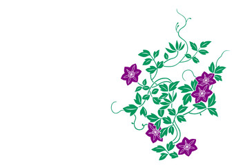 グラフィックパターン