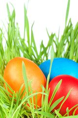 egg easter in a grass Isolated on white