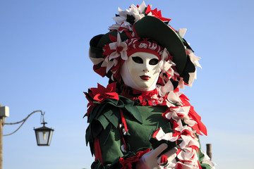 Fototapeta na wymiar venezia carnevale 2011