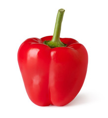 Red Bell Pepper