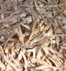 poisson séché 01