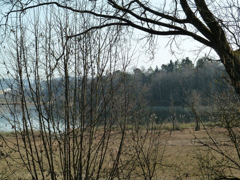 Uferlandschaft am Katzensee in Regensdorf bei Z&uuml;rich im Winter