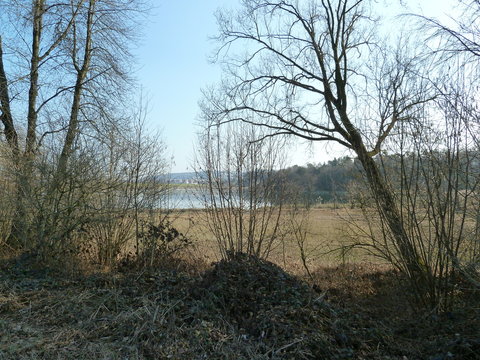 Katzensee bei Regensdorf im Winter
