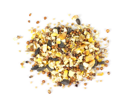 Wild Bird Food Seeds