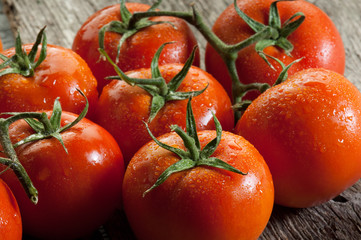 group of tomatoes on wood background