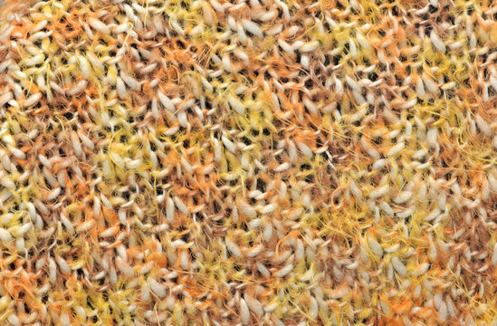 Yellow wool texture, bay be used as background