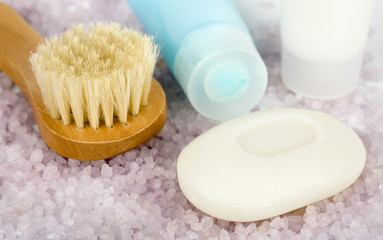 Fototapeta na wymiar Spa and bodycare - cosmetic brush, soap, salt and lotion