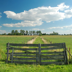 Fototapeta premium countryside