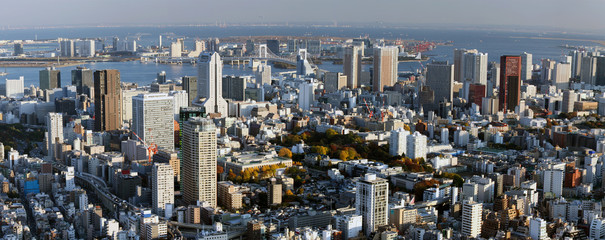 Naklejka premium Tokyo Bay Panorama