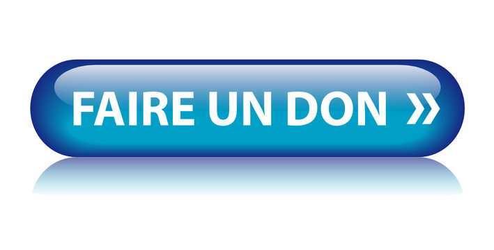 Bouton Web "FAIRE UN DON" (donner argent contribution aide)
