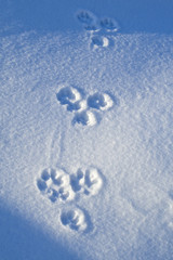 Hare trace