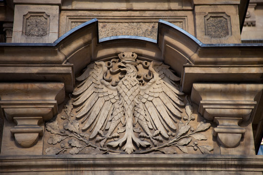 Adler - Frankfurt