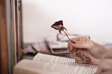 rose on the opened book