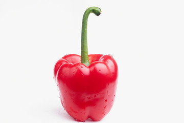 red paprika on white background