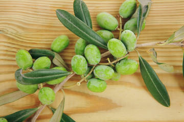 fresh raw olives