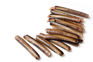 razorshells on white background