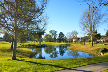 Golf course with green grass, trees and pond