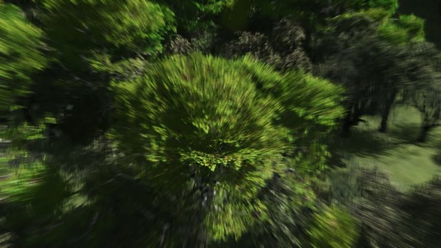 Ostern - Videotrailer - Osterhase - Osterei