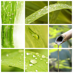 Fototapeta premium Collage nature et eau