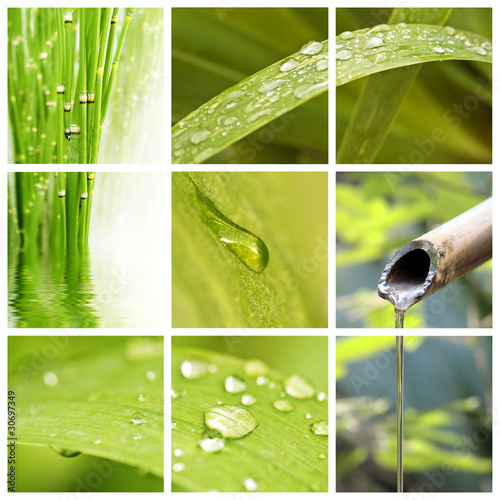 Collage nature et eau