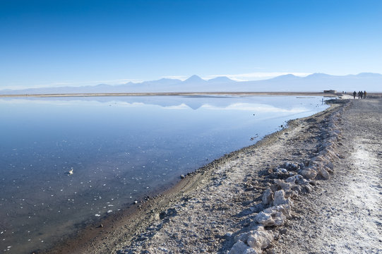 Salar de Atacama