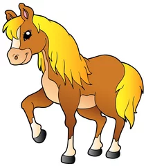 Door stickers Pony Cartoon walking horse