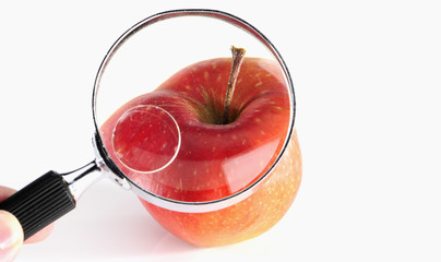Apfel durch die Lupe