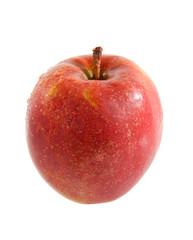 one red apple over white background