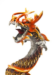 Close up half body of dragon
