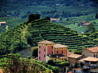 Wzgórza Prosecco w prowincji Treviso - 30709779