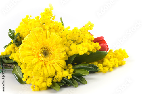 FOTO MIMOSA DA SCARICA