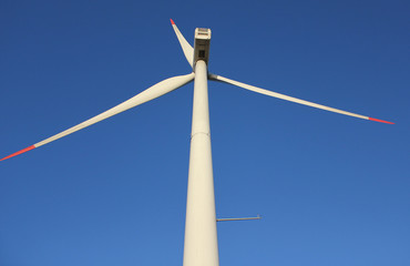 windmill