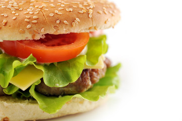 hamburger with cutlet