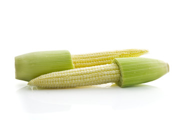 Fresh baby corn isolated on white background