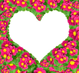 flower heart isolated