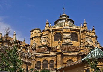 Fototapeta na wymiar Granada Cathedral