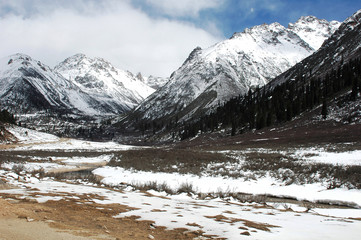 Landscape in winter