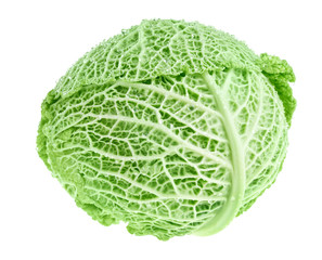 Fresh green cabbage head