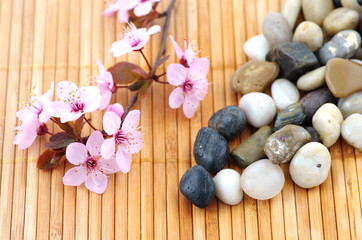 Fototapeta na wymiar cailloux et fleurs zen