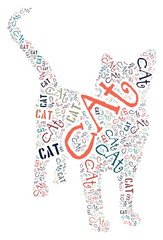 Cat of words